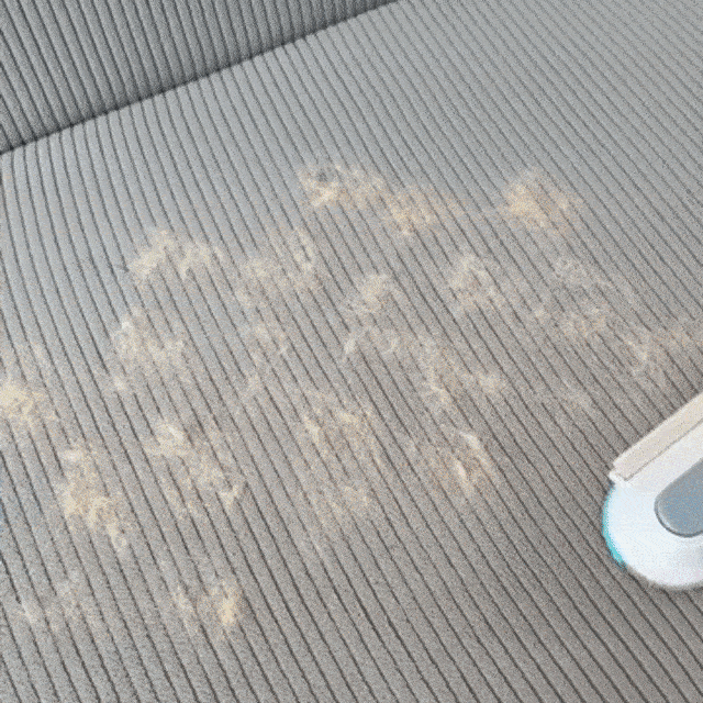 3-in-1 Pet Hair Remover Brush