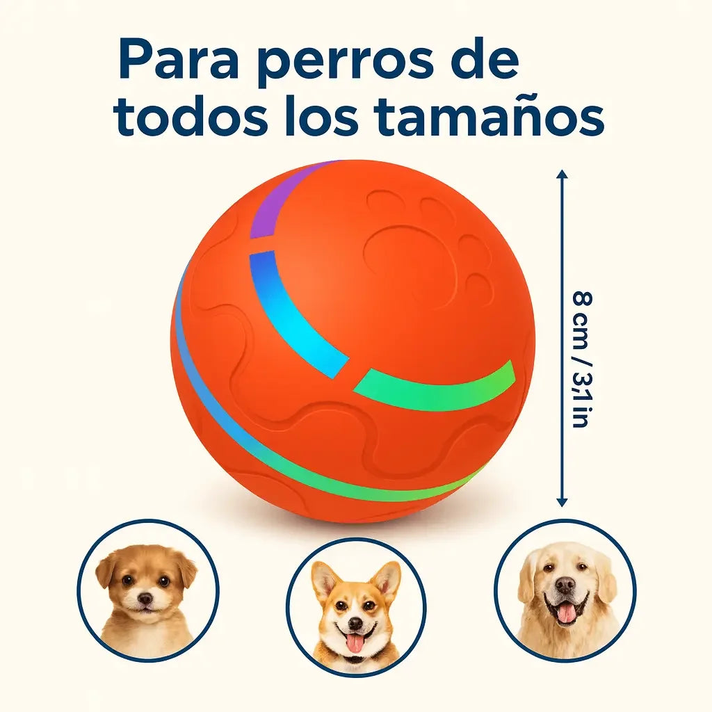 Orbit™ de Pawmo