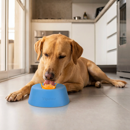 Slow Licking Bowl